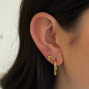 Rodeo Earrings